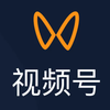 视频号情报局