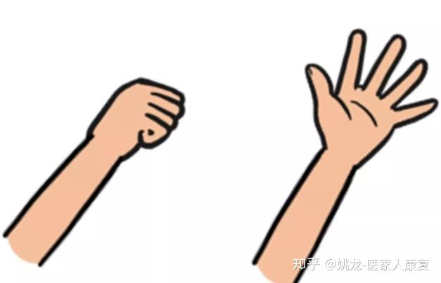 什么叫青枝骨折? - 知乎