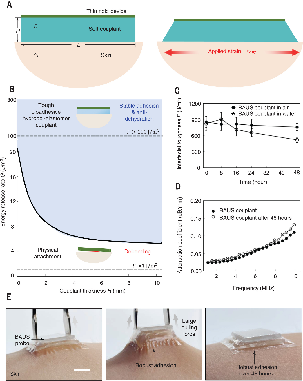 Explain The Term Implantation In Biology