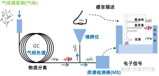 什么检测设备更适用风味物质的研究？常见风味物质分析仪器比较 - 知乎