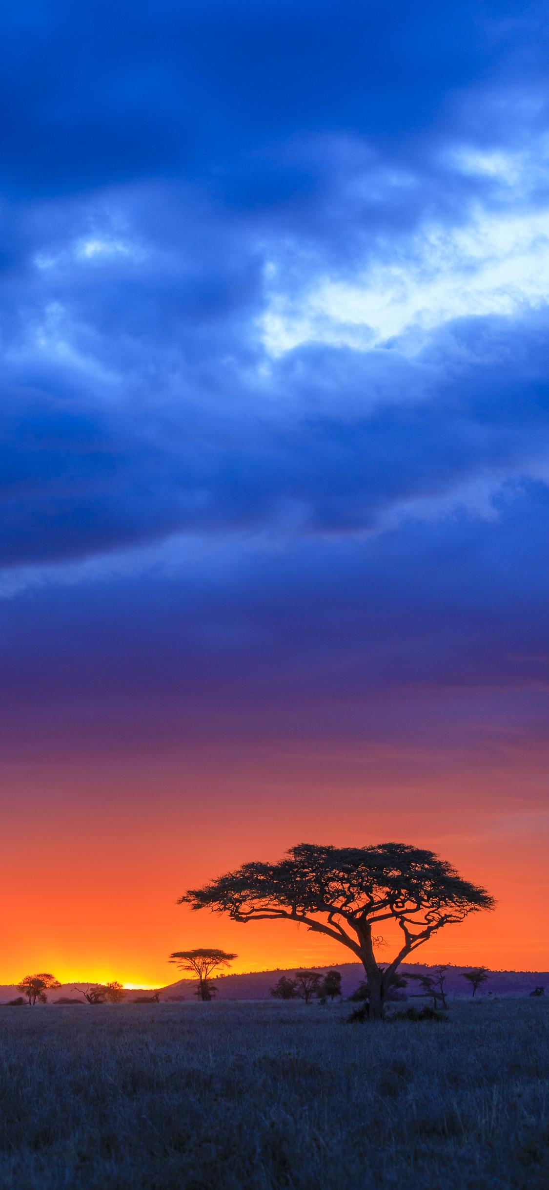 有哪些适合iphone11用的高清壁纸