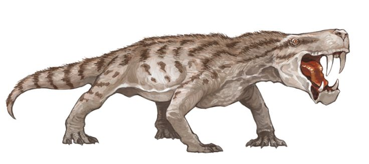 丽齿兽为什么长得这么猥琐,大多数动物不是美的吗? - 知乎