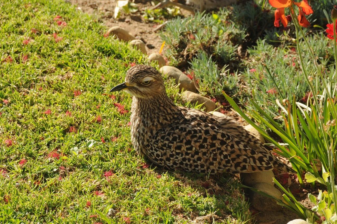 2. 钻心保温尺寸