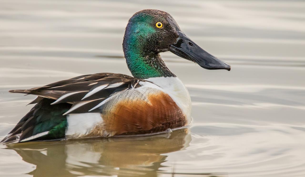 2. 阔绰空间体验