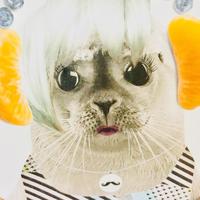 Zhihu profile picture for @stingy