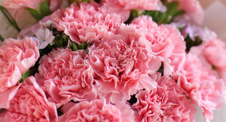 三八节送花吗 三八节为什么要送花给女性 三八节送花的理由 知乎