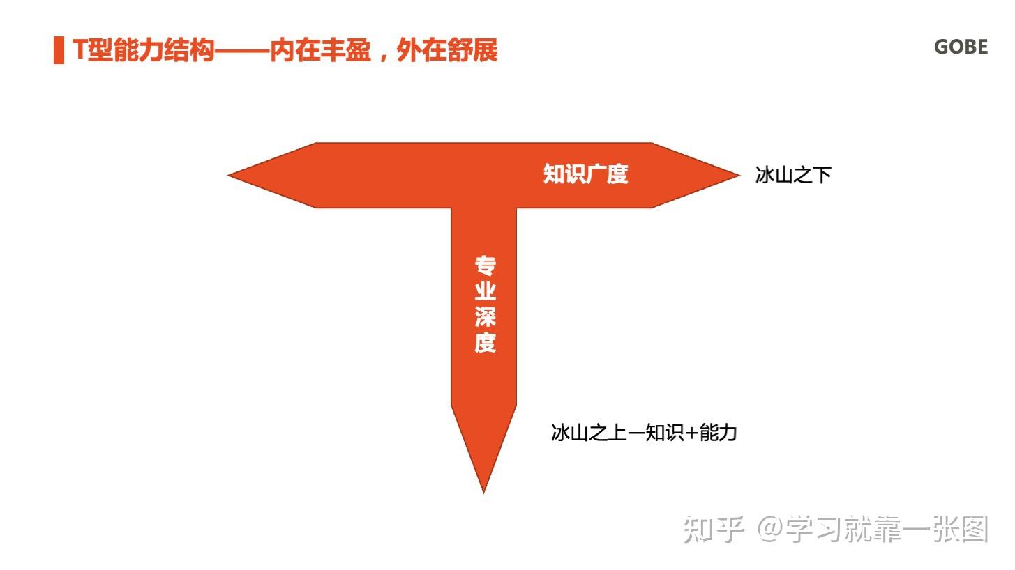 专家型通才——T型能力结构 - 知乎