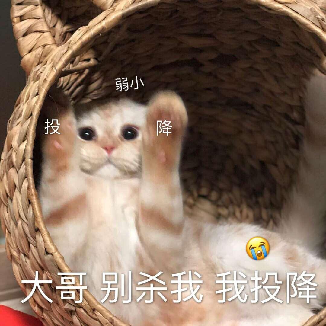 当淘宝客服是怎样一种体验?