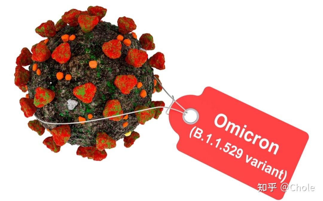 目前新冠病毒已经有哪些变体毒性如何