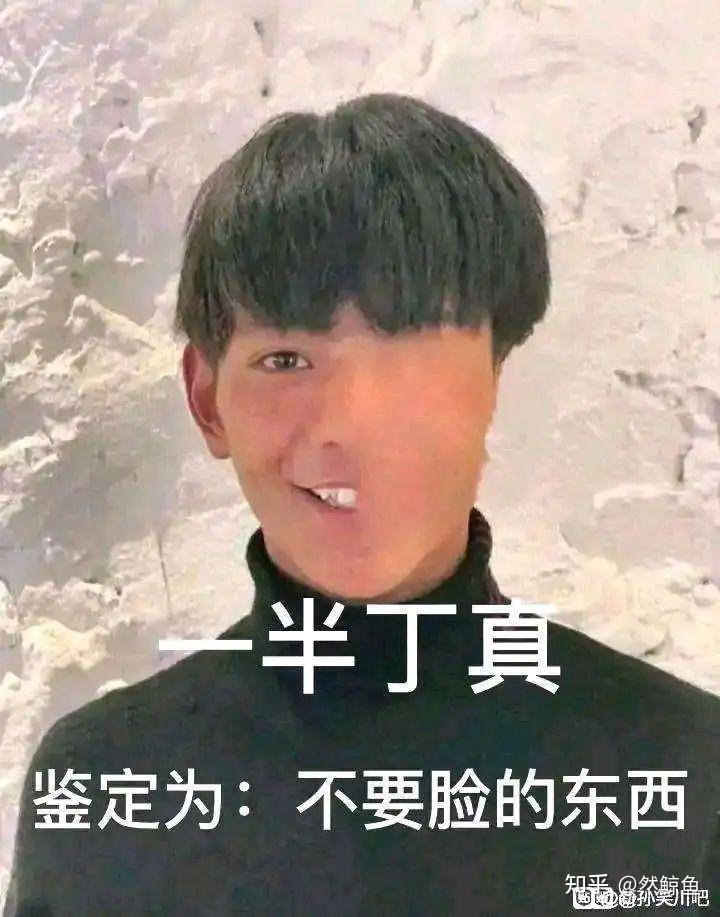 有没有一眼丁真的表情包啊? - 知乎