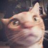 Zhihu profile picture for @wept