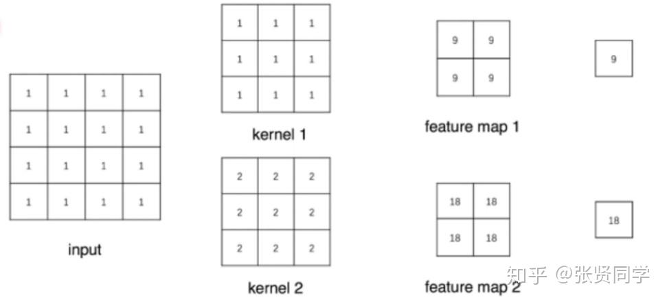 [PyTorch 学习笔记] 5.2 Hook 函数与 CAM 算法 - 知乎