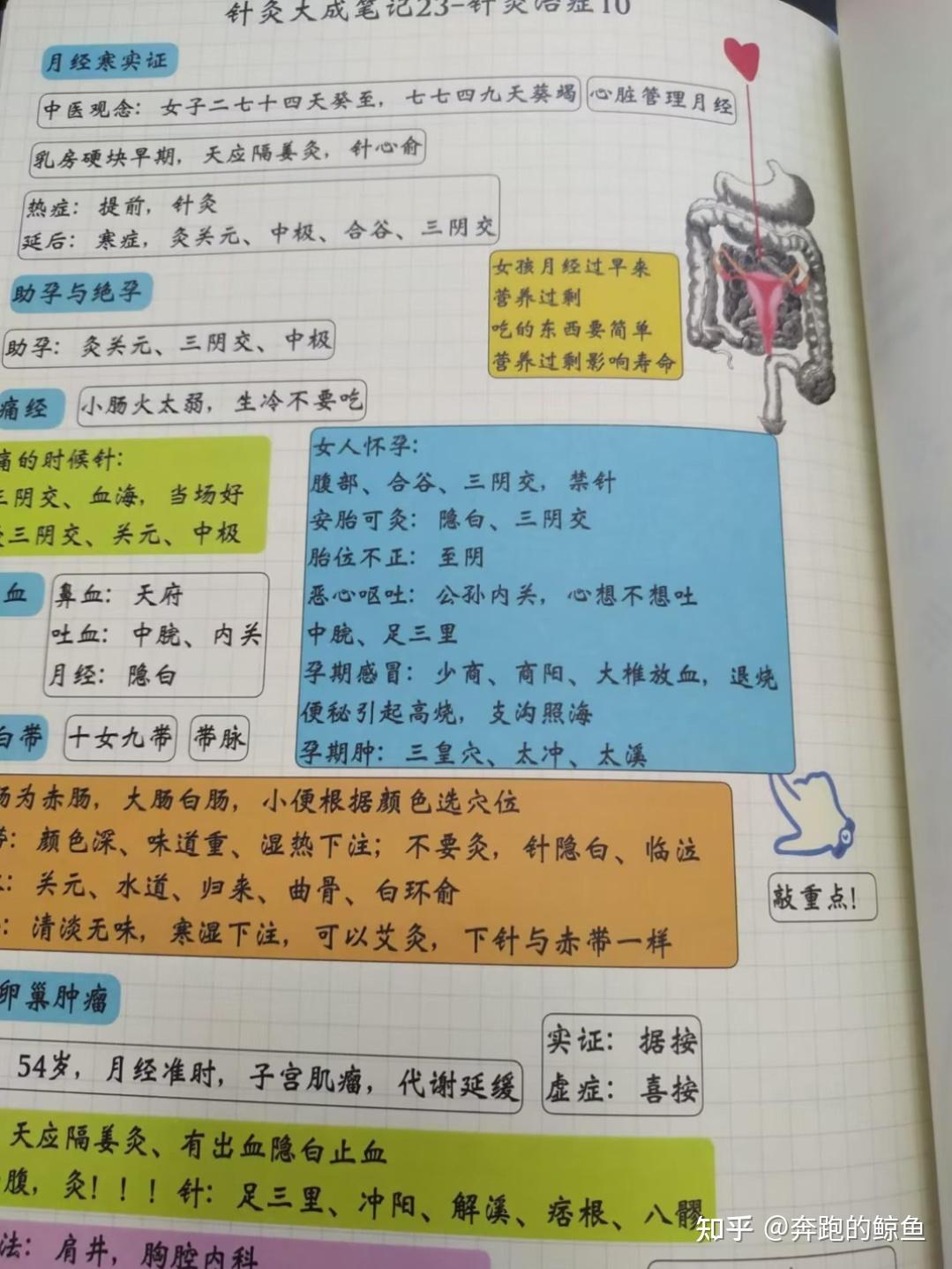 祝余中医日记2024正版笔记书籍 - 知乎