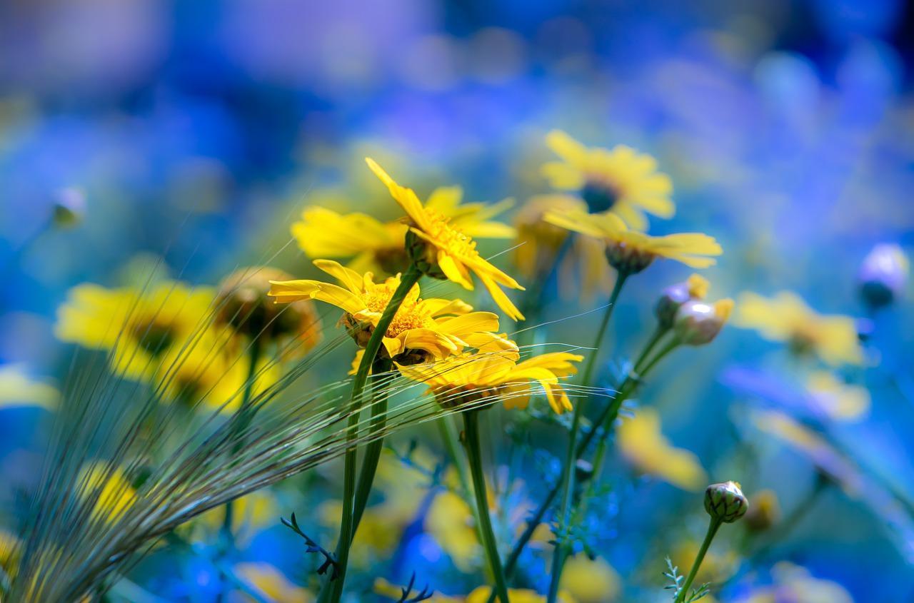 4. 调整温度湿度