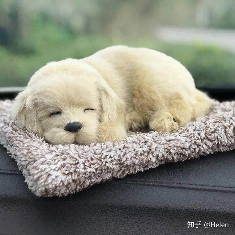 送朋友生日礼物想送与狗狗相关的不是真狗就玩偶啊本子呀之类的有推荐