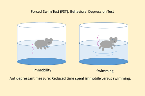 脑声常谈:小鼠强迫游泳实验测试方法"sop流程"重磅发布