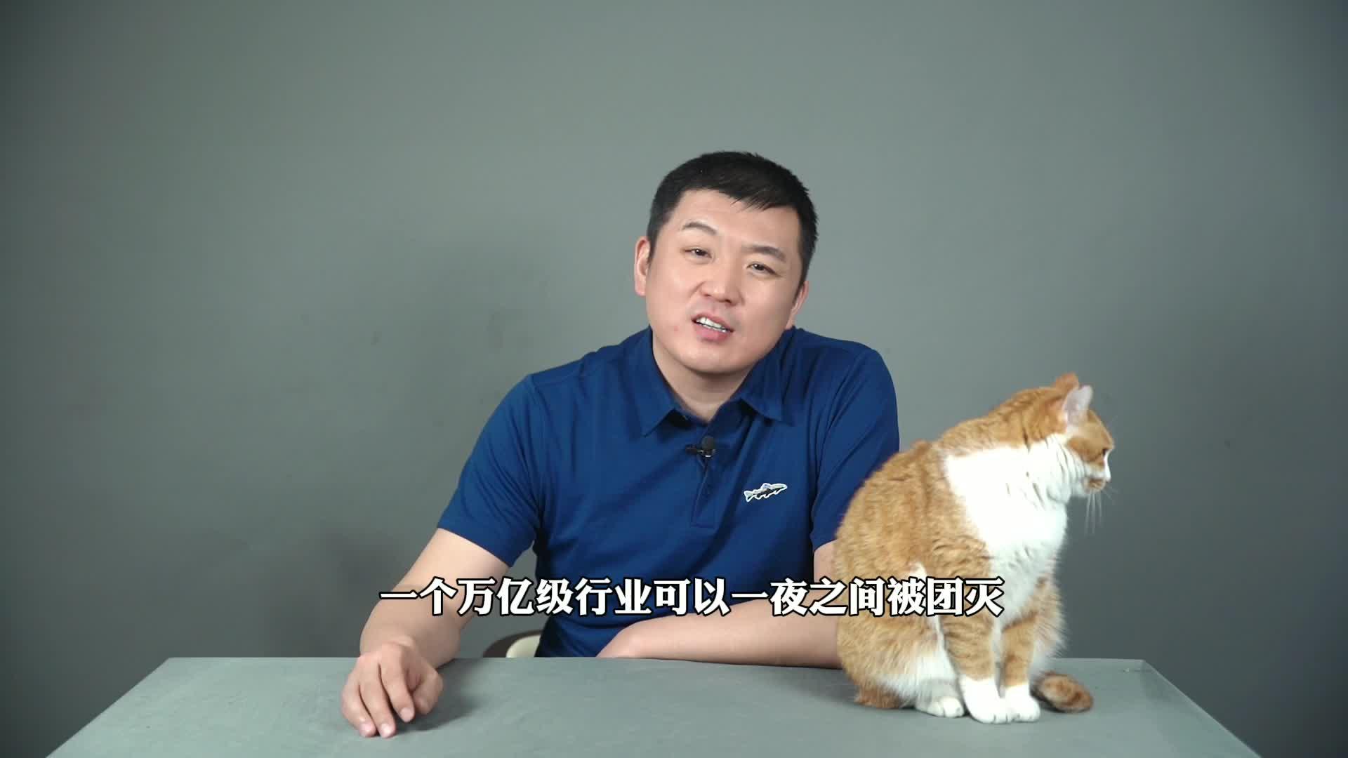财经郎眼为什么停播2021(2021财经郎眼为什么不更新了)