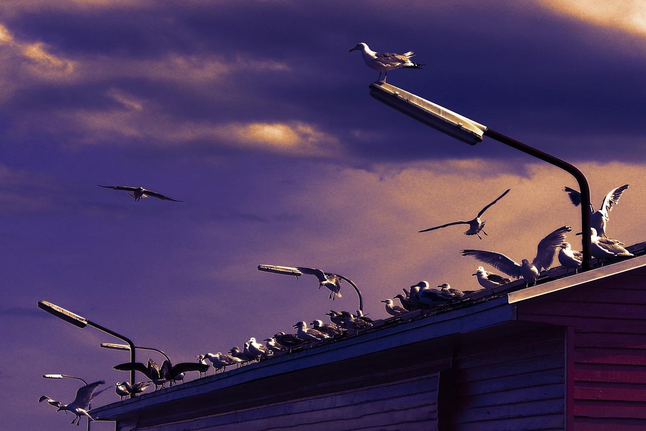 发试卷那一刻的忐忑