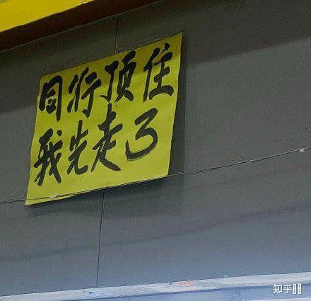 大家对is和呜呜姐这对cp的看法是怎样的