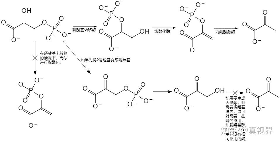 磷酸二羟丙酮结构式图片