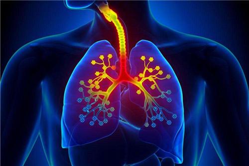 肺火旺盛的症状有哪些肺部这样清火最有效