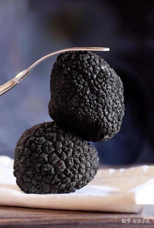 自然界有黑色的蘑菇吗?有毒吗? - 知乎