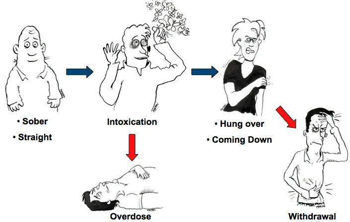 新药研发(16)| 药物毒理学研究内容详解(下) - 知乎