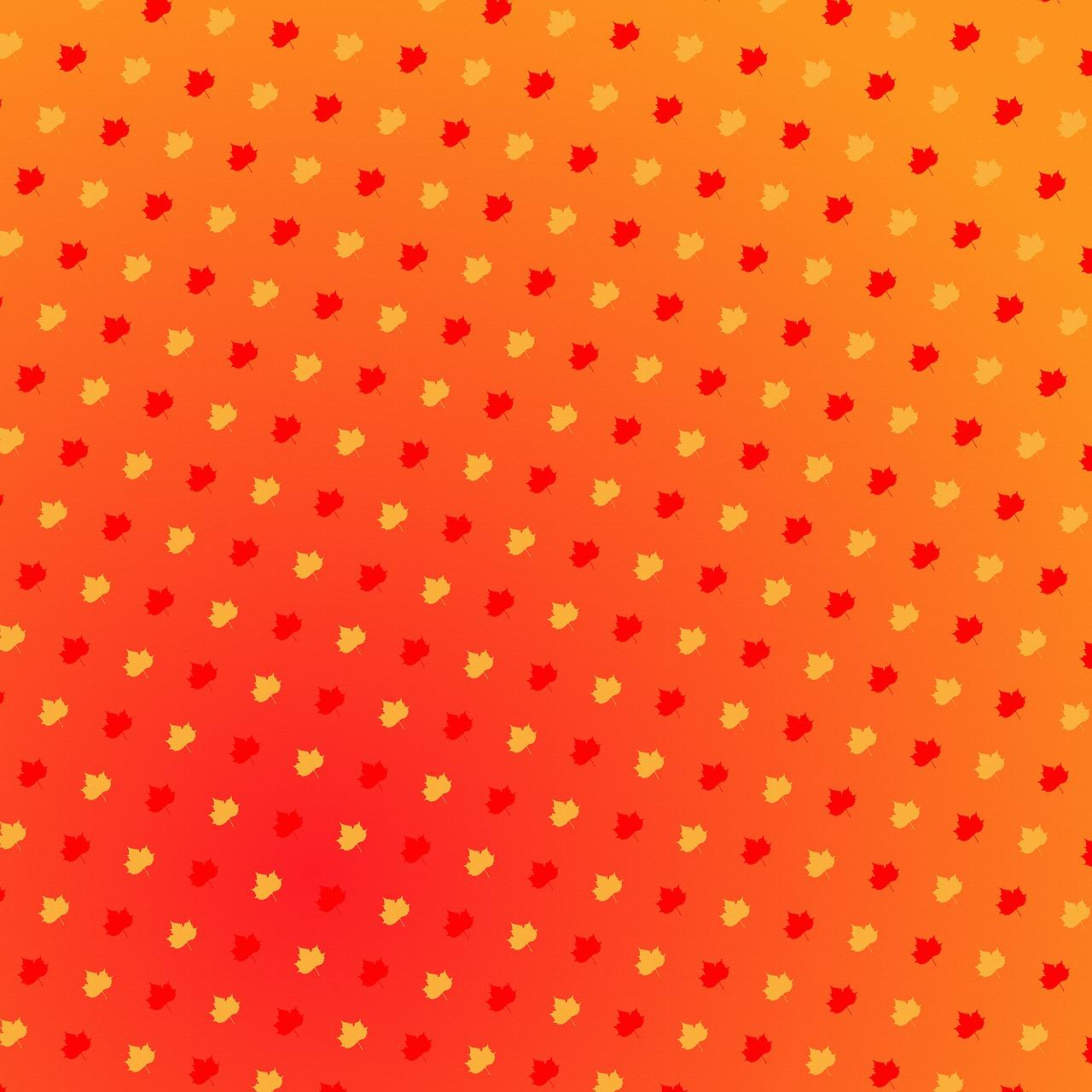 5. 德高装修亮点