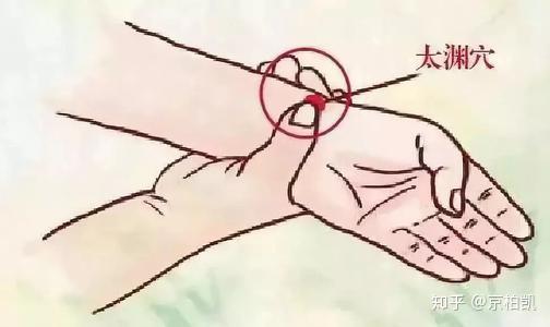 【太渊穴】肺经大补穴、补气最强穴 - 知乎