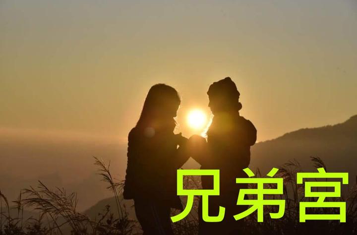 兄弟宮 - 知乎