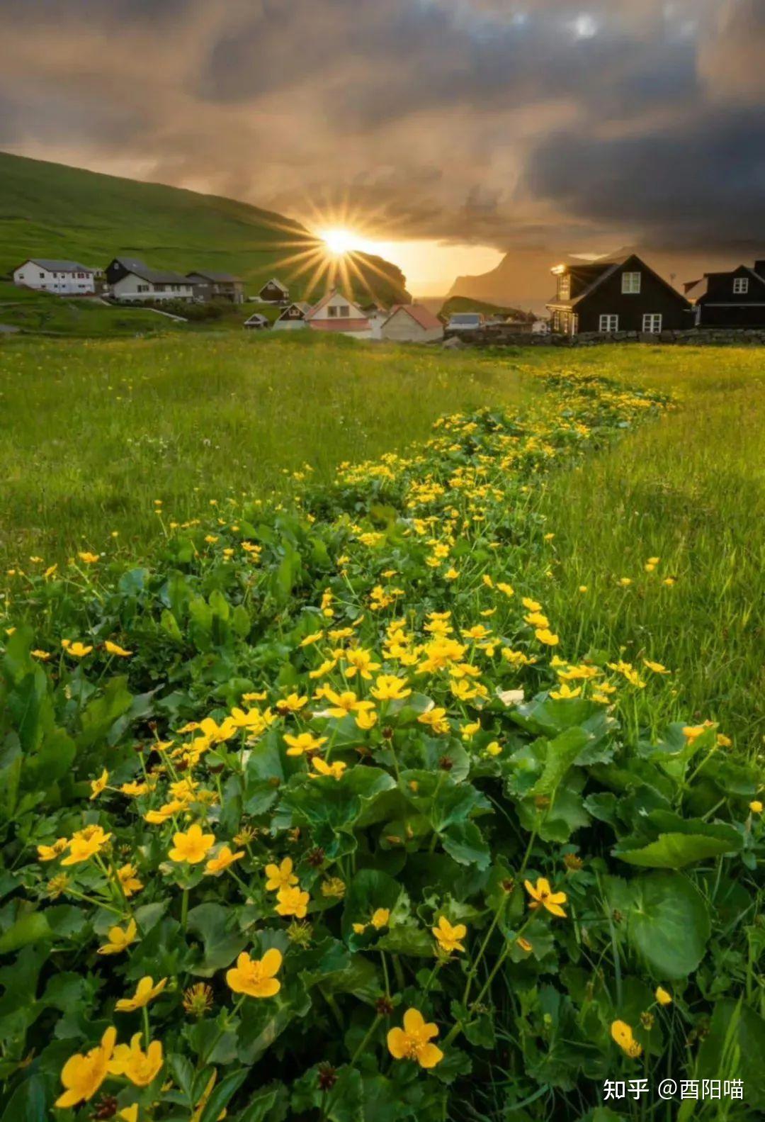 俄乌战争打到现在,为什么还有那么多精苏黄俄小粉红迷之自信俄罗斯会