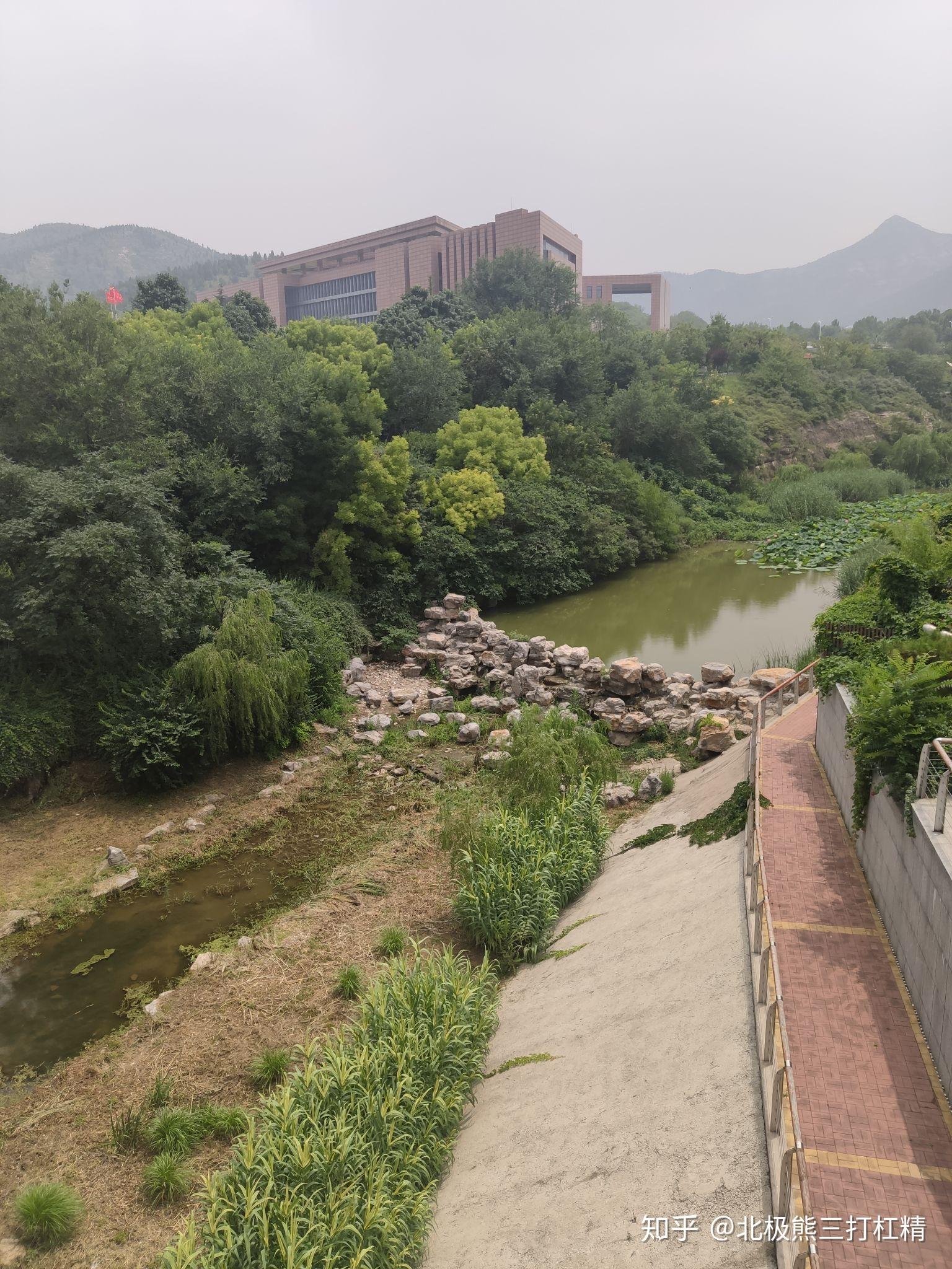 山東大學為何要建興隆山校區