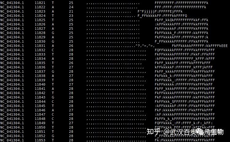 比对软件|Samtools - 知乎