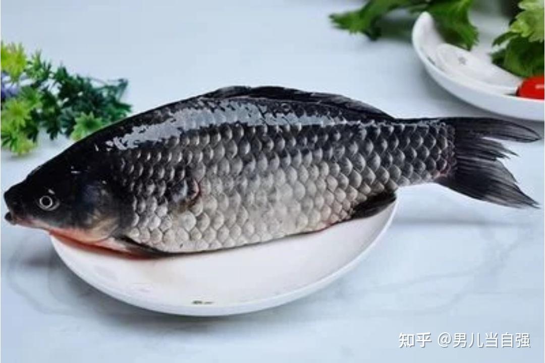 经常吃鱼对健康有哪些好处和坏处? - 知乎