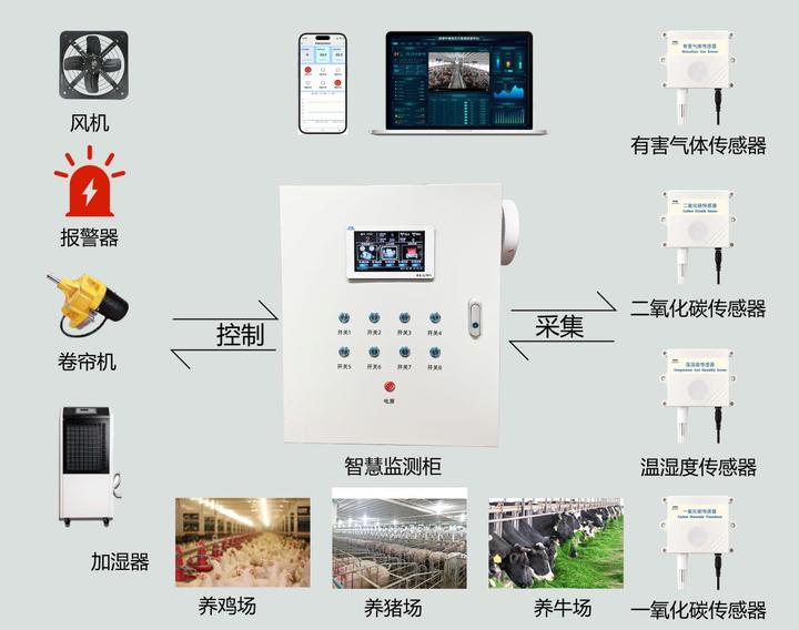 猪场环境监测设备:守护动物福利与生产效率