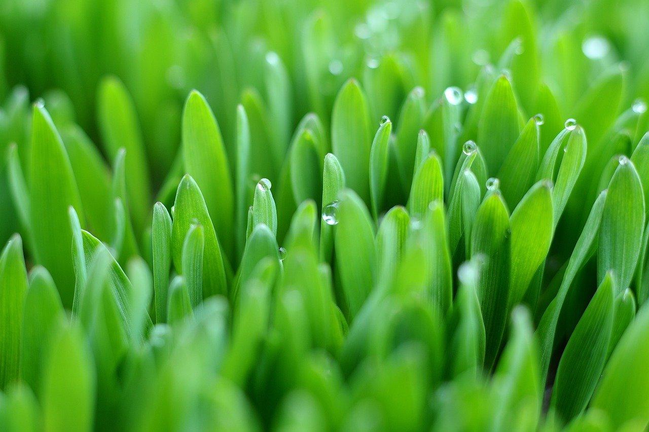 2. 室内空气净化宝