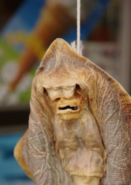 有哪些特别恐怖的生物?