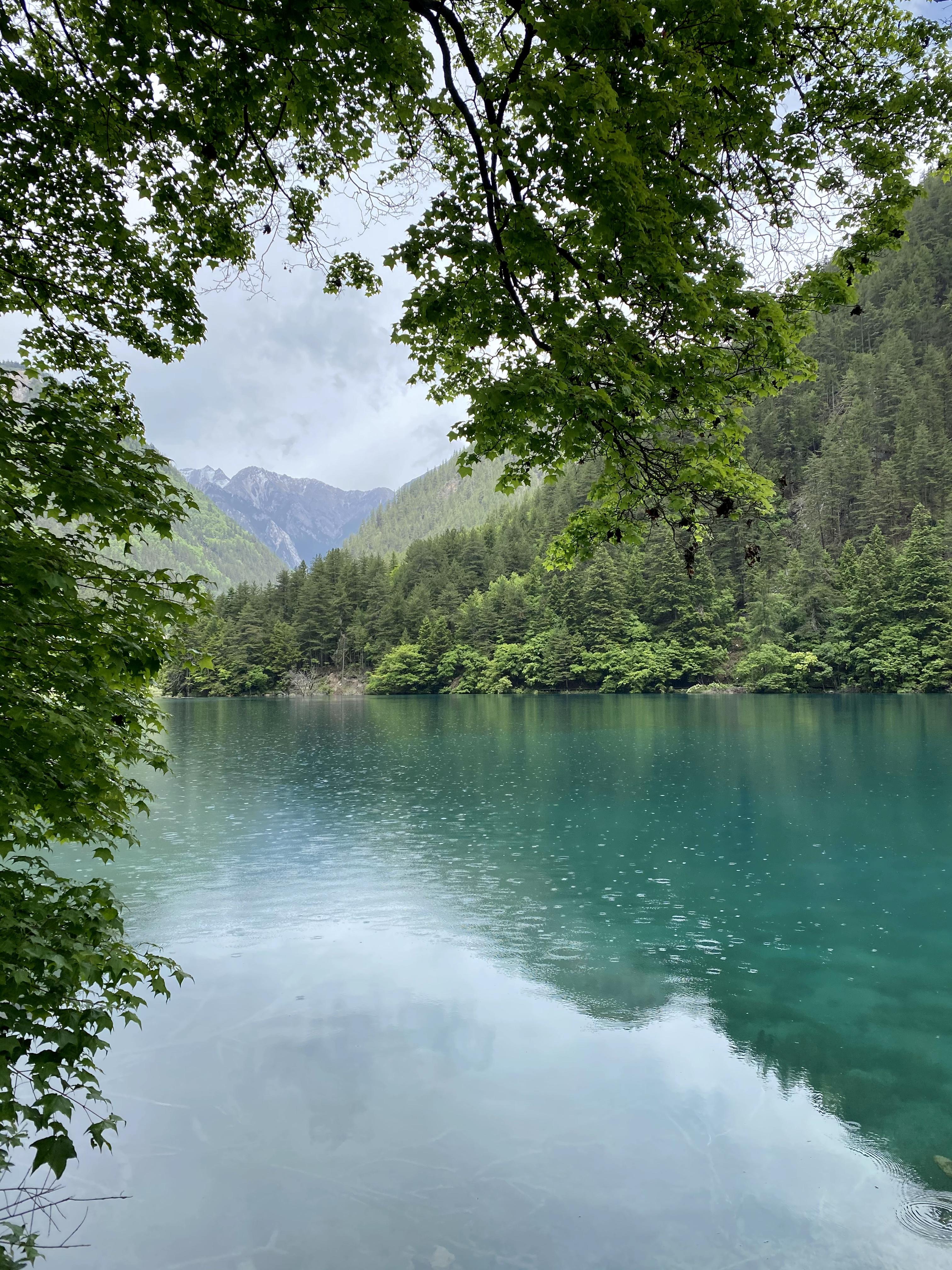 有没有随手一拍的治愈风景照