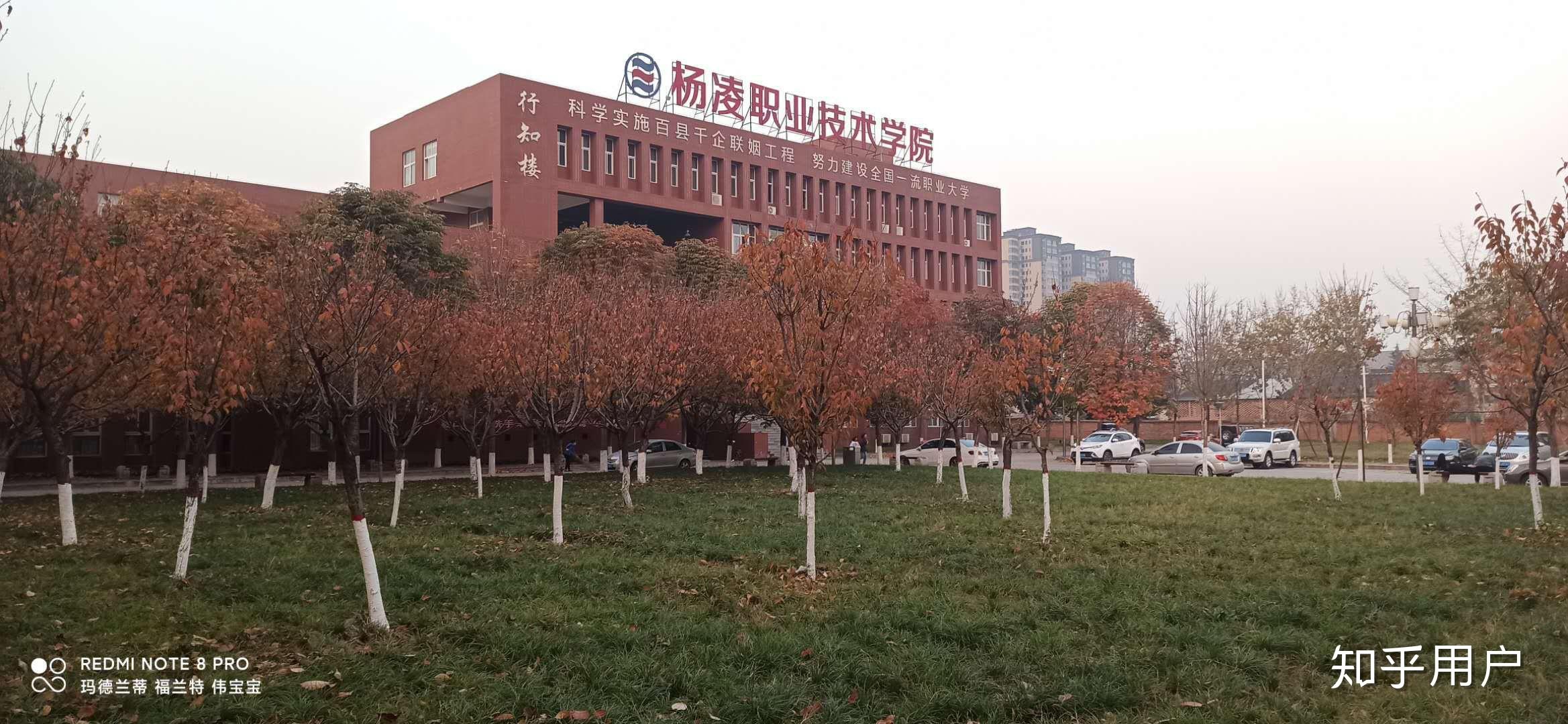 在杨凌职业技术学院就读是什么体验? - 知乎