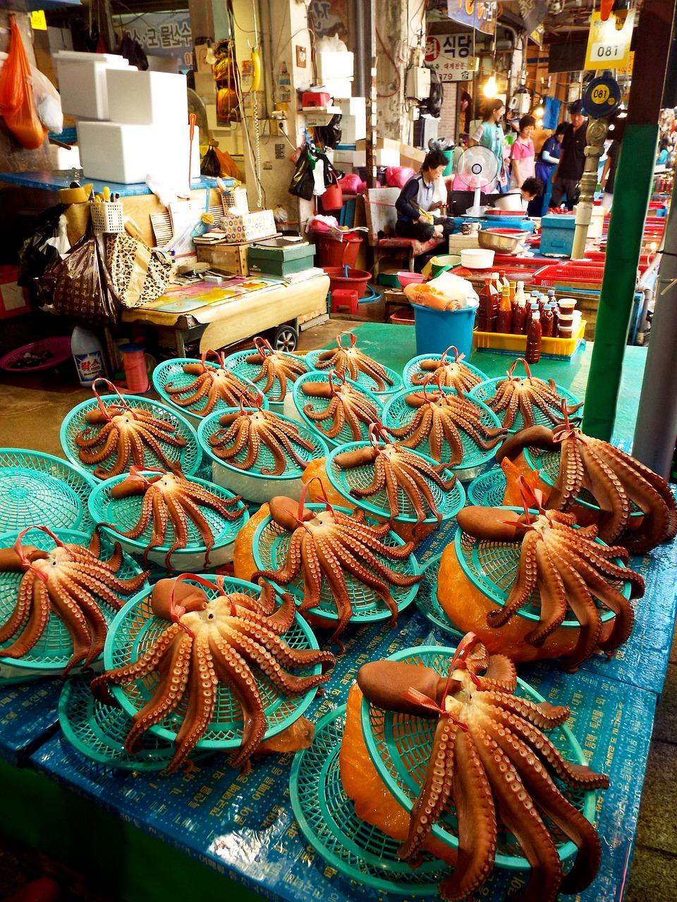 3. 鳙鱼与鲢鱼体型