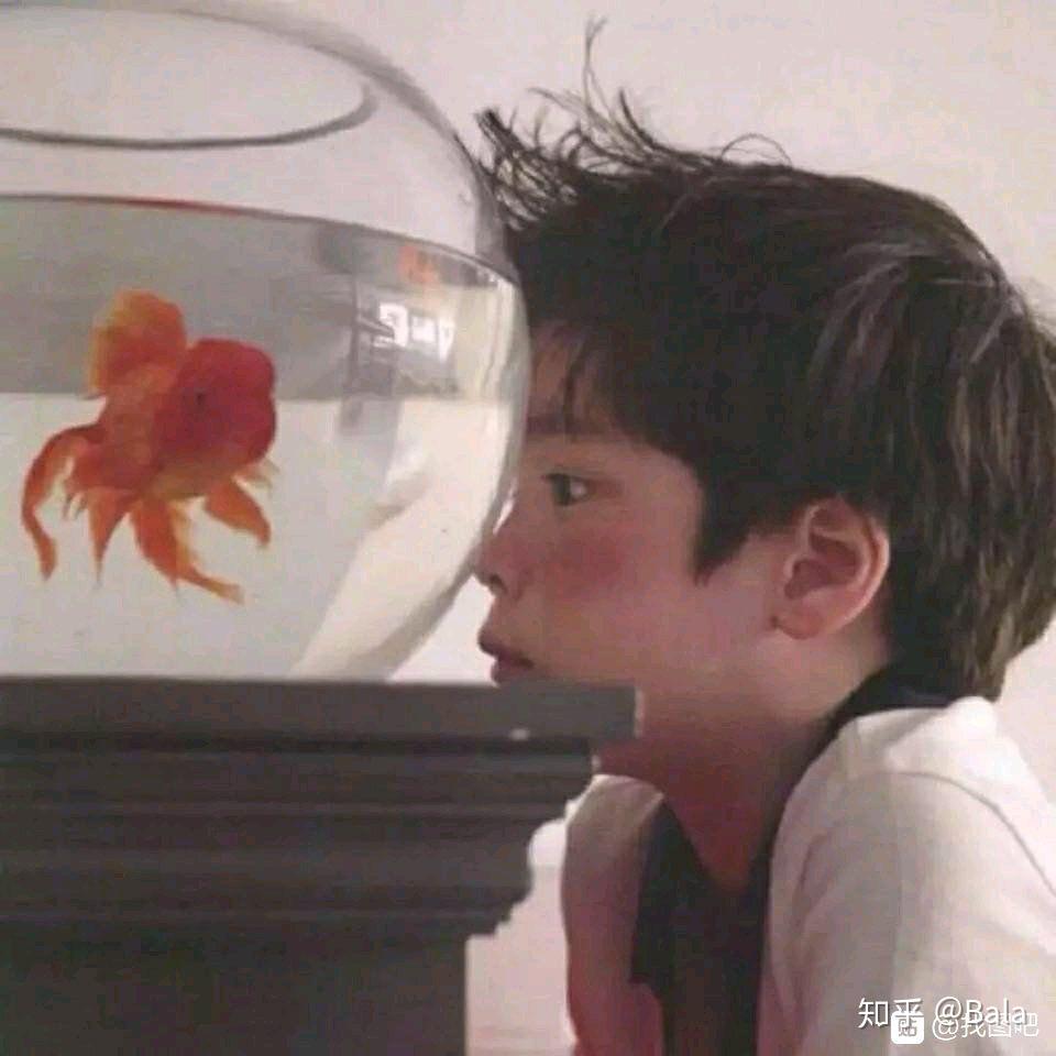 想要小女孩和小男孩看著魚缸的情侶頭像