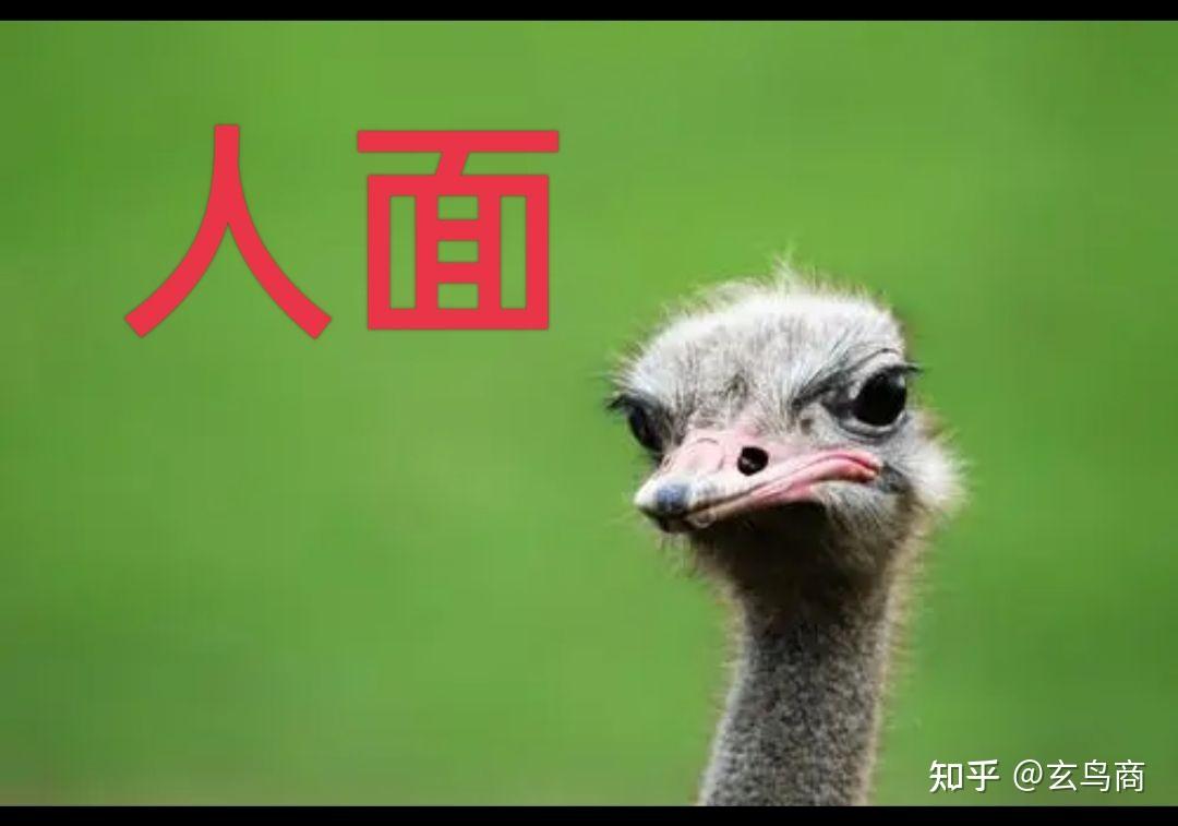 九凤（《山海经》之九凤） - 知乎