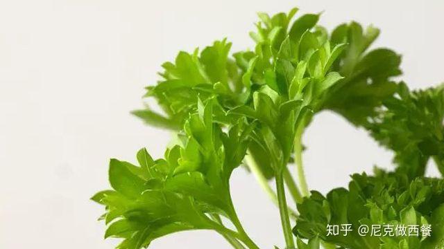 西餐常用香料介绍 - 知乎