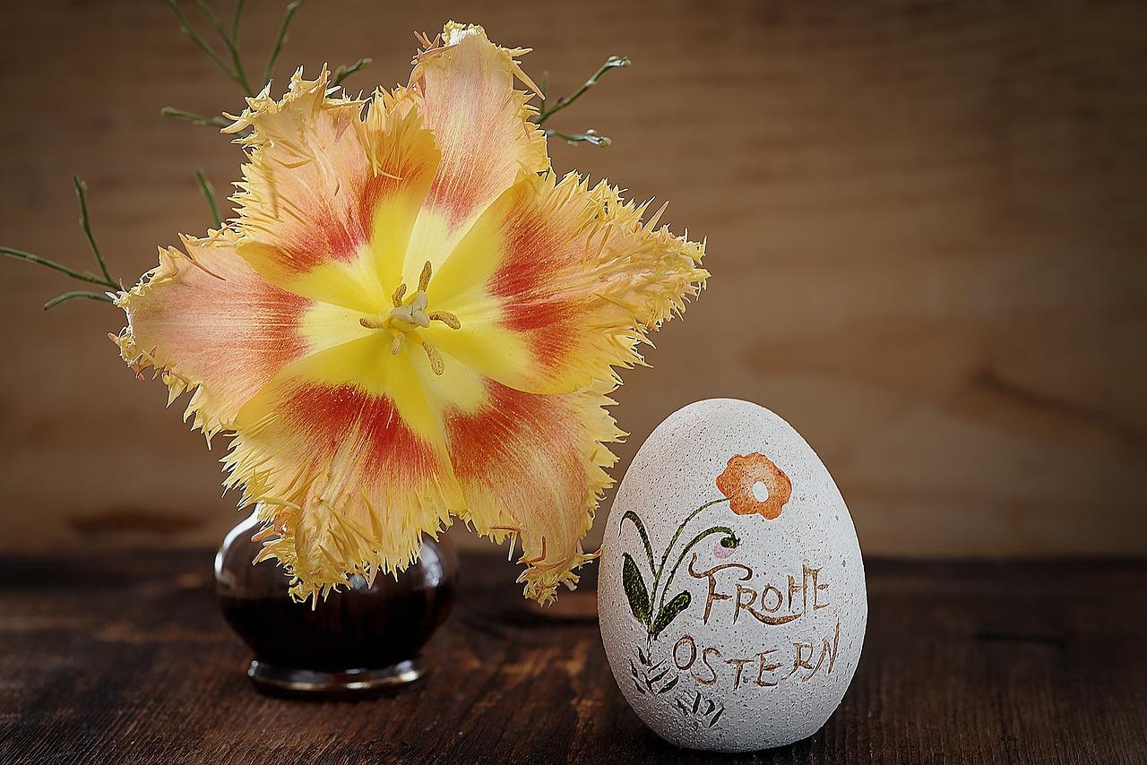 4. 月季品种价对比