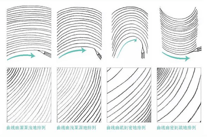 绘画基础:不同种类的线条