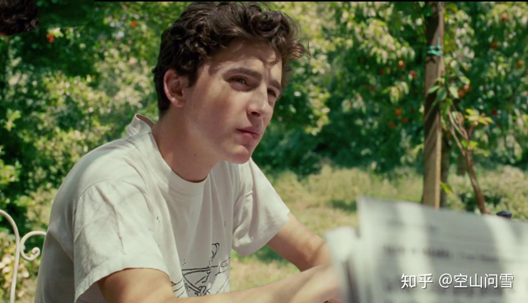 callmebyyourname的中文译名是请以你的名字呼唤我还有更好的翻译吗