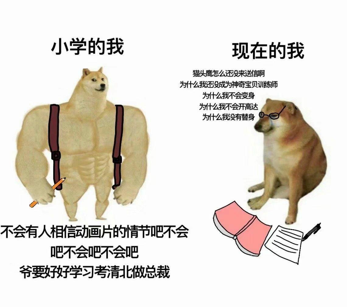 你还有什么样的废柴犬对比表情包