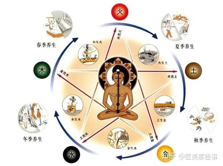 人体五脏与美容的关系 - 知乎
