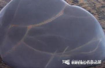 端砚石品（附图） - 知乎