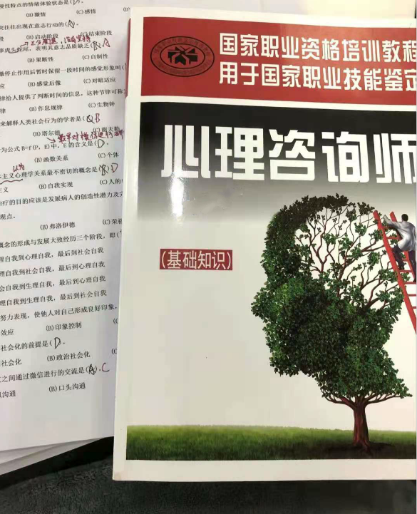 培训心理咨询班师工作内容_培训心理咨询师需要多少钱_二级心理咨询师培训班